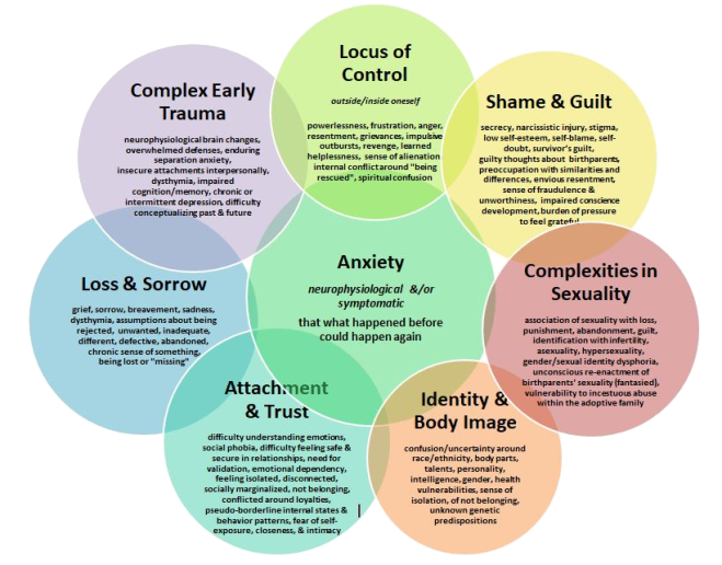Eight Core Constellations in Adoption Venn Diagram